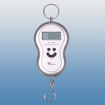 Portable electronic scale